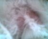 Picture 001.jpg