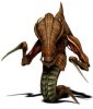 zerg_2.jpg