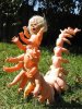 Scary_babydoll_thing--gallery-m.jpg
