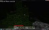 Shroom tree.jpg